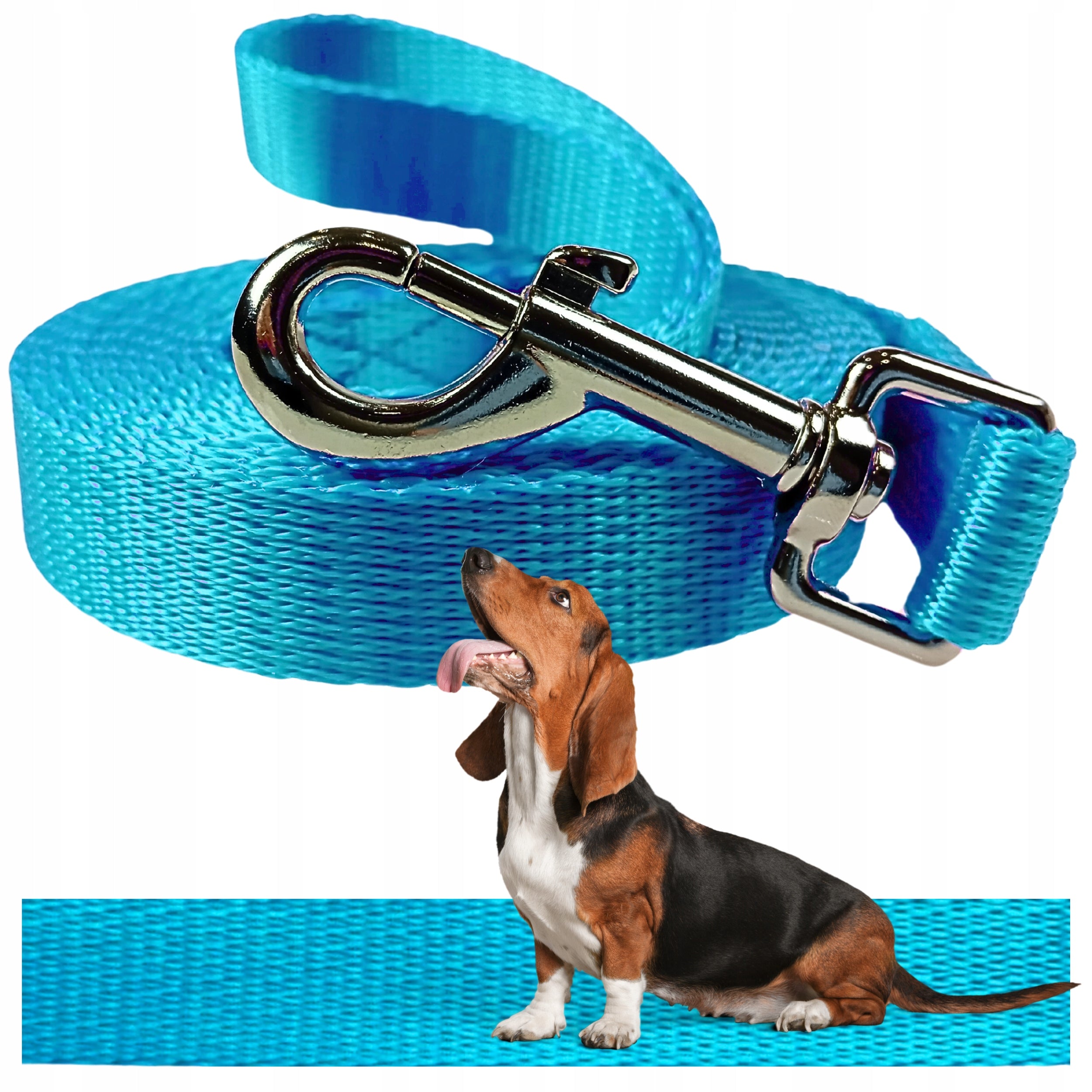 DOG ROPE 10M TRAINING LEASH THICK STRONG LONG BLUE/TURQUOISE