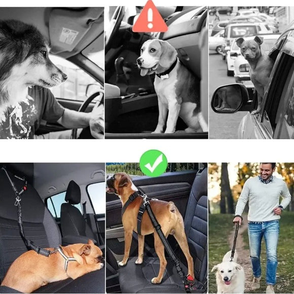 DOG SEAT BELT RELIABLE PROTECTION Product height 67 cm