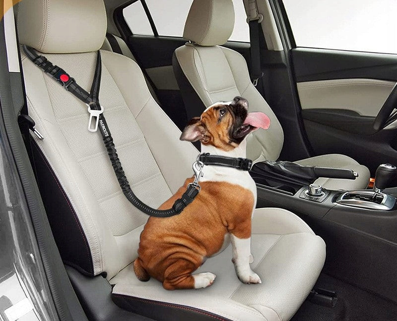 DOG SEAT BELT RELIABLE PROTECTION Product weight with unit packaging 0.2 kg
