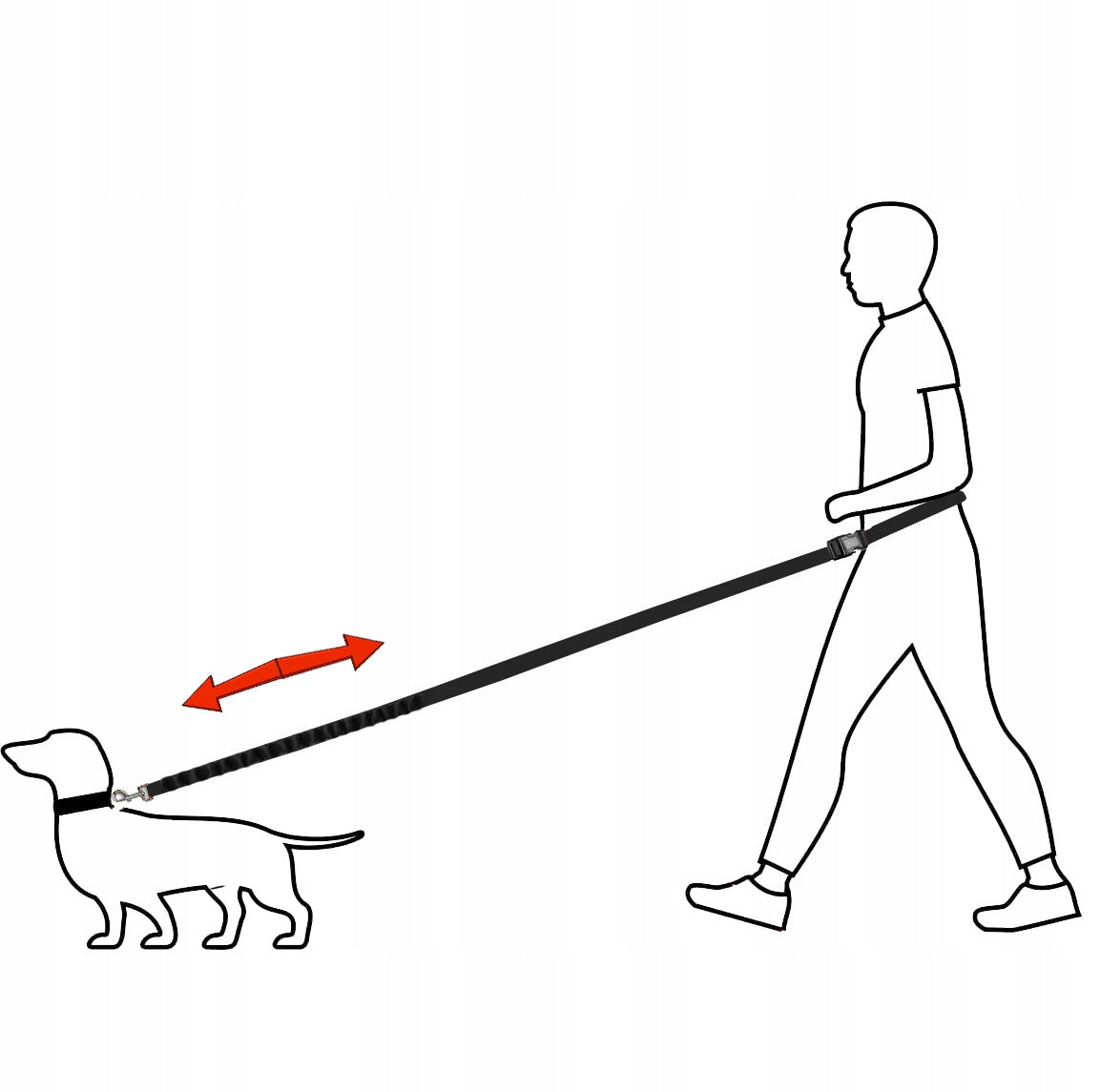 DOG SPORTS LEASH FOR RUNNING DOGTREKKING ADJUSTABLE CUSHIONING 5m Kind for jogging