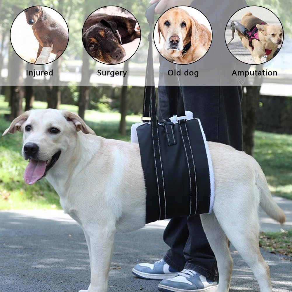 DOG SUPPORT HARNESS ADJUSTABLE REAR PAWS SIZE S BLACK Brand FS