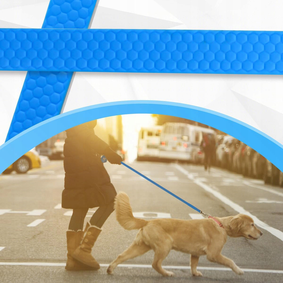 DOG TRAINING LEASH FOR TRAINING STRONG TAPE CORD BIOTHANE PVC 10m EAN (GTIN) 5906022618108