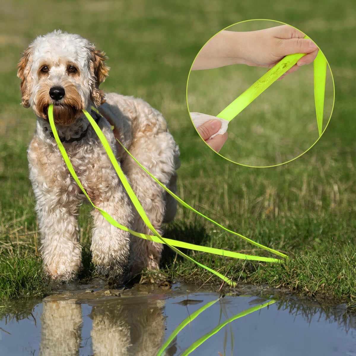 DOG TRAINING LEASH FOR TRAINING STRONG TAPE CORD BIOTHANE PVC 3m Brand no brand