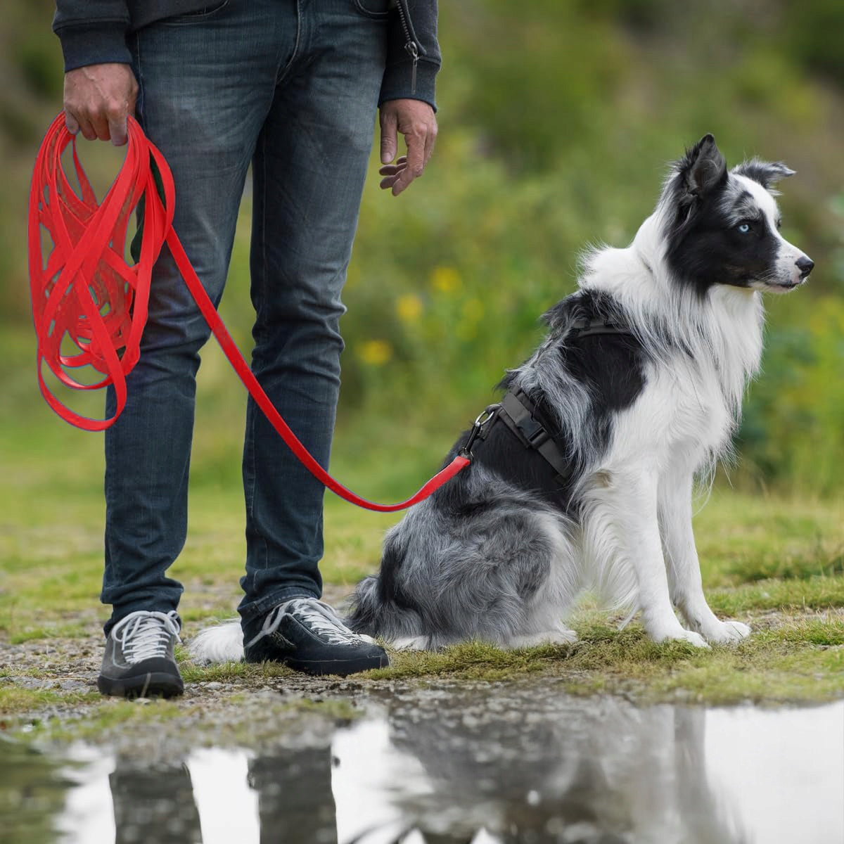 DOG TRAINING LEASH FOR TRAINING WATERPROOF BIOTHANE PVC CORD - 10m Maximum leash length 10 m