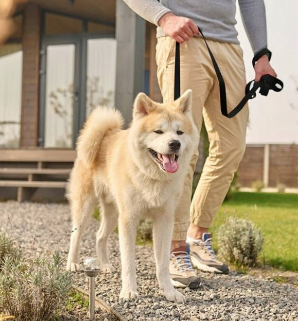 DOG TRAINING LEASH STRONG FOR WALKING TRAINING FOR TRAINING 5m Material tape