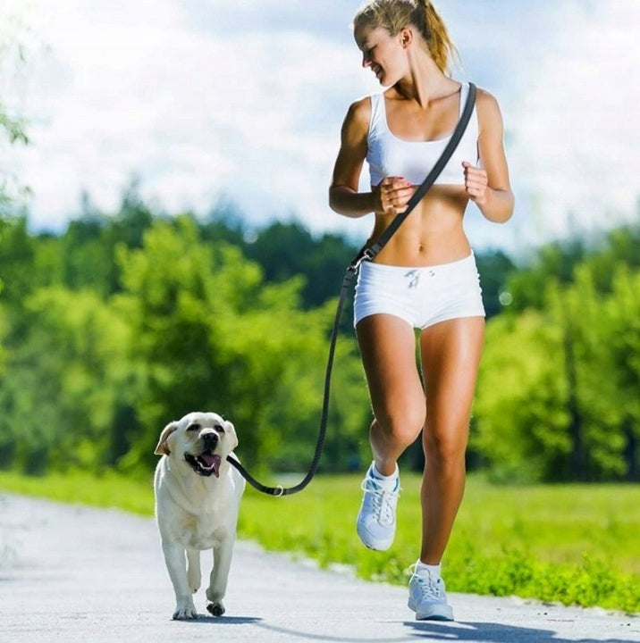 DOG TRAINING LEASH TAPE 10M STRONG ROPE BLACK LONG TRAINING Manufacturer code DZ010118001-V02