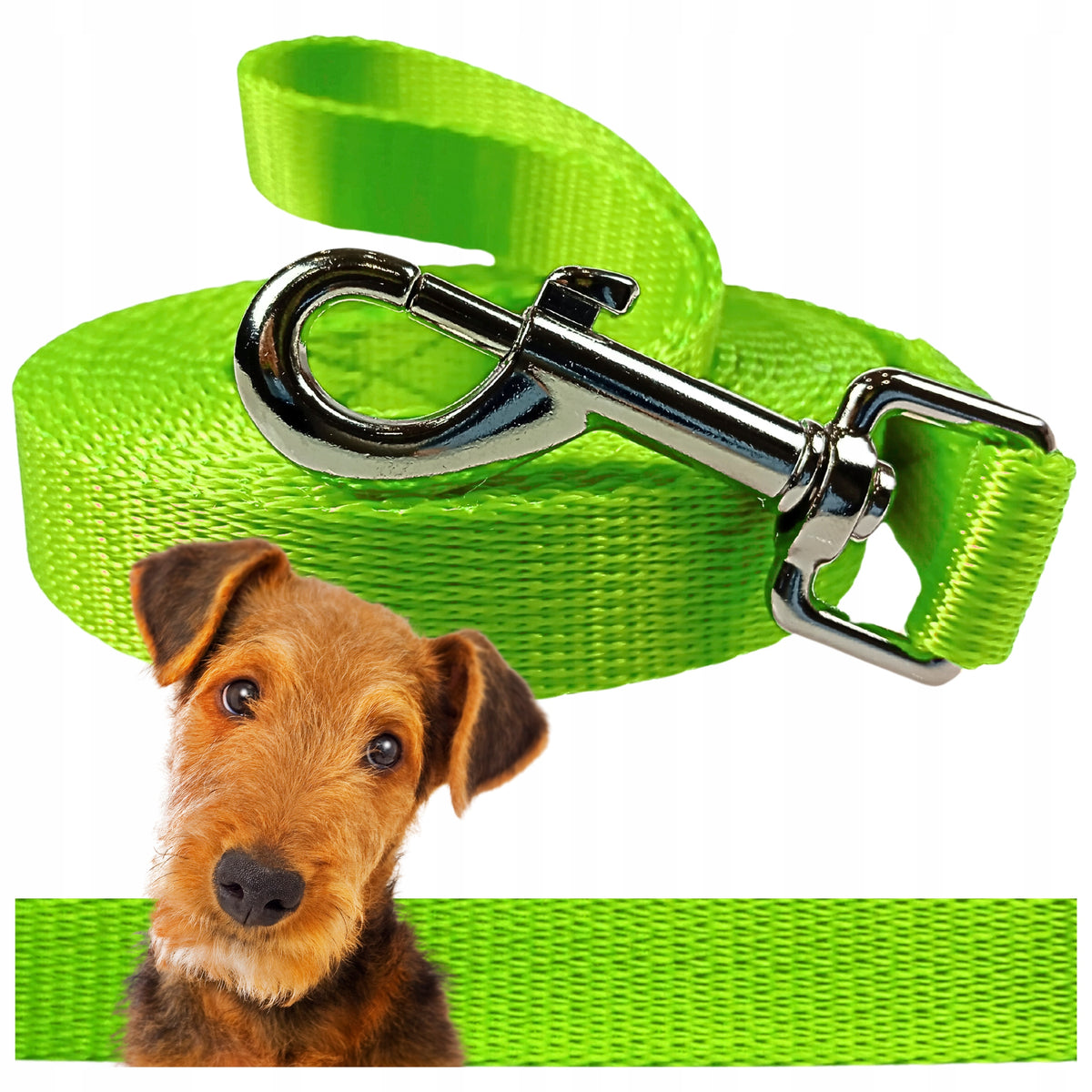 DOG TRAINING LEASH TRAINING CORD TAPE STRONG 6M GREEN/LIME