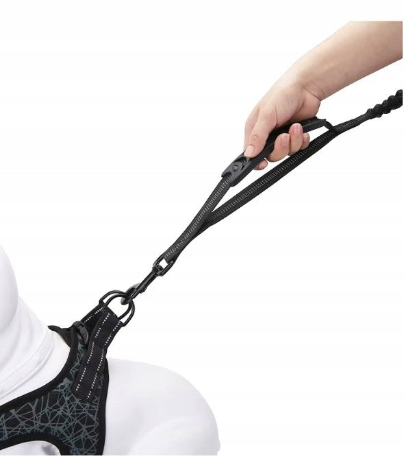 DOG TRAINING LEASH WITH BUNGEE SHOCK ABSORBER AND SUPER STRONG HANDLE Packaging status original