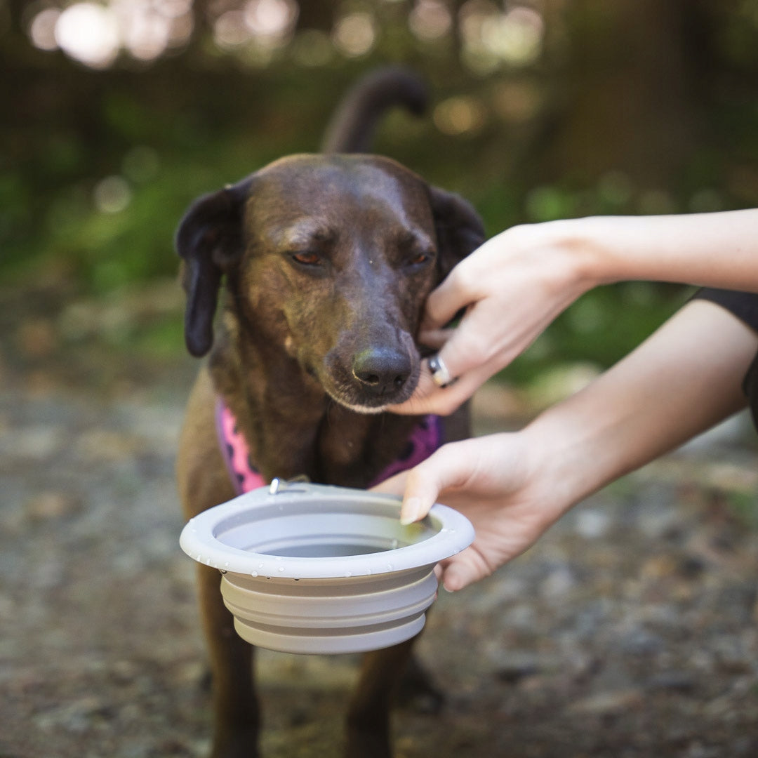 DOG TRAVEL FOLDING BOWL 650ML CAT SILICONE WATER FOOD Capacity 0.65 l