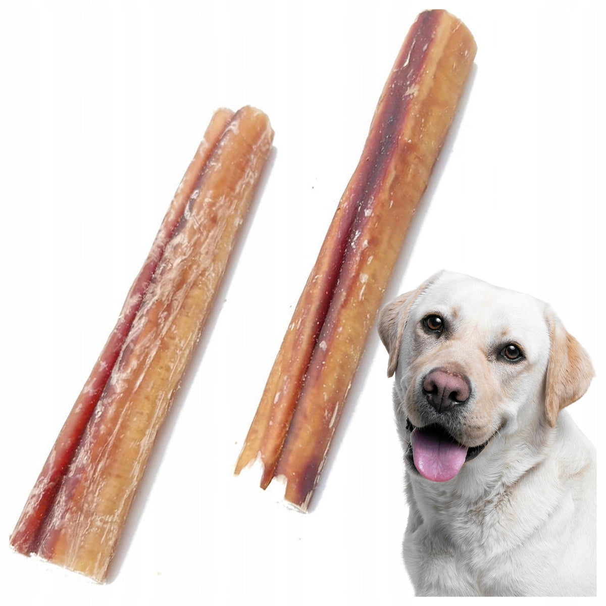 DOG TREAT BEEF PENIS 40CM NATURAL DOG TEETHER BEST-DOG