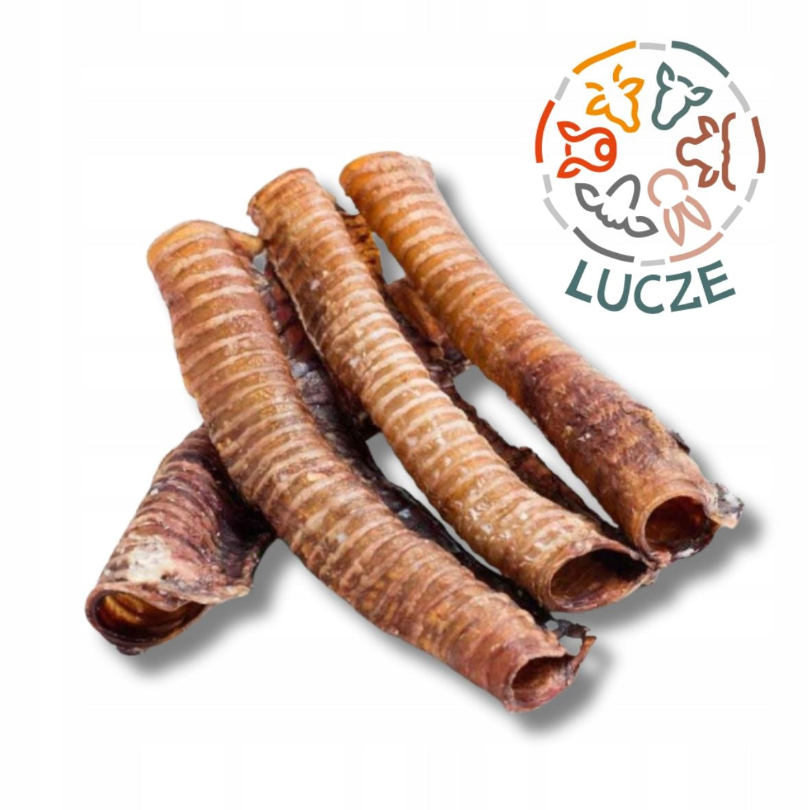 DOG TREAT Beef Trachea LONG Dried 1kg NATURAL Teether