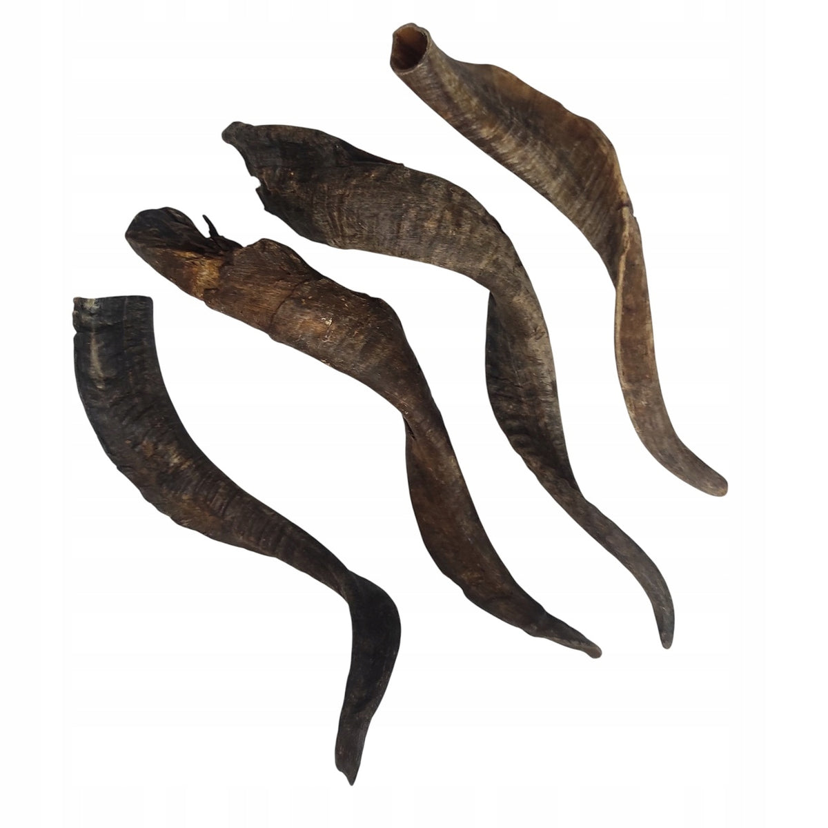DOG TREAT GOAT HORN NATURAL DOG TEETHER BEST-DOG Manufacturer code Tu