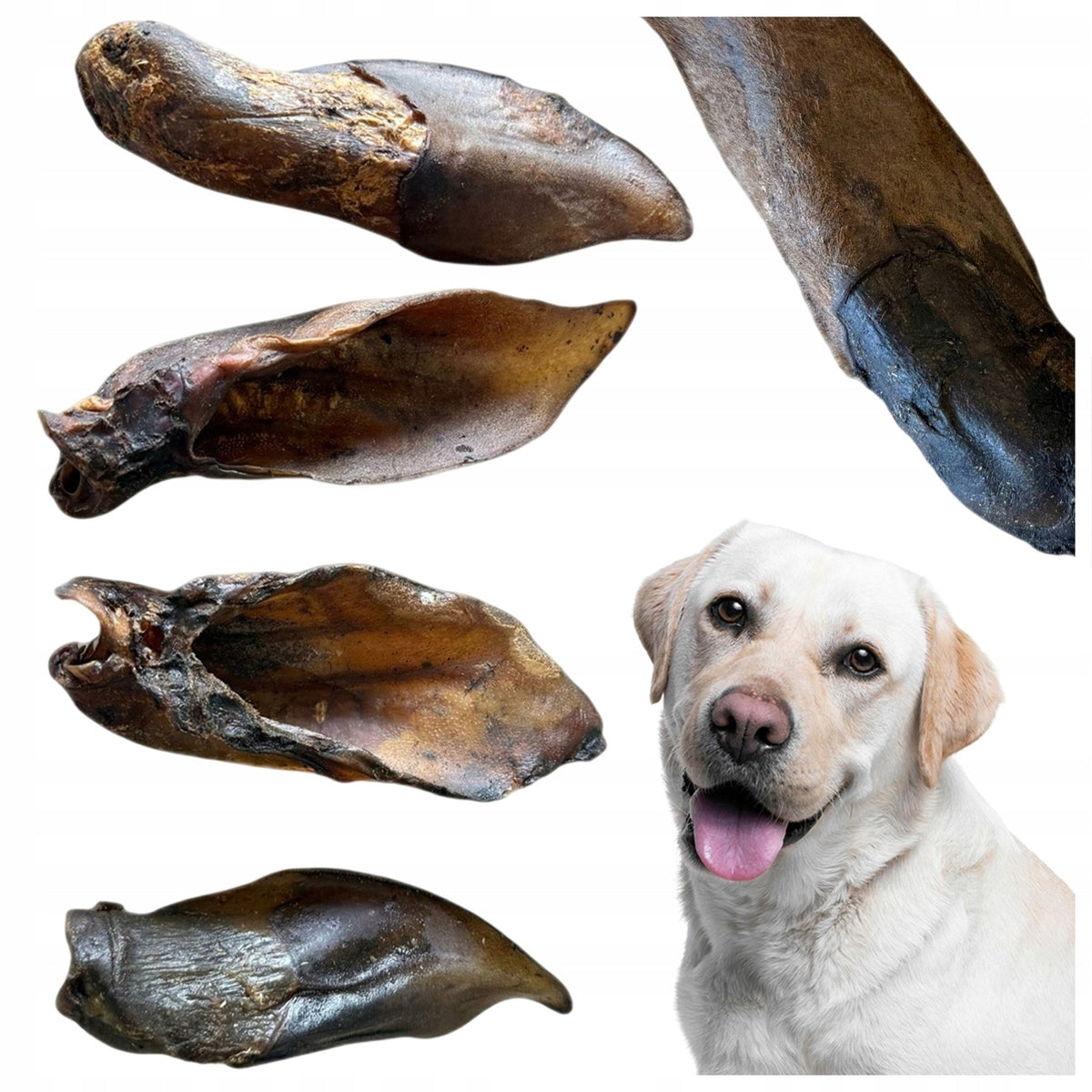 DOG TREAT HORSE EAR. DOG TEETHER BEST-DOG