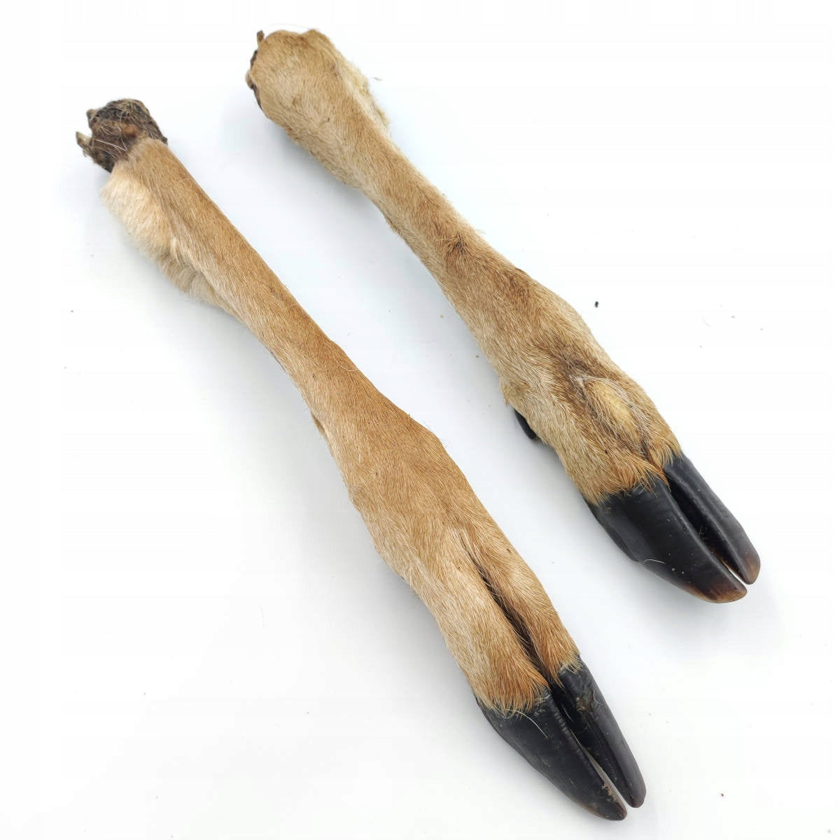 DOG TREAT LEGS DEER WITH HAIR 1PC DOG TEETHER BEST-DOG Volume 0 ml