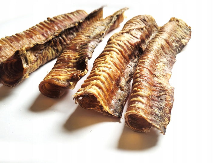 DOG TREAT NATURAL BEEF TEETHER BEEF TRACHEA 35cm 1pcs Flavor beef