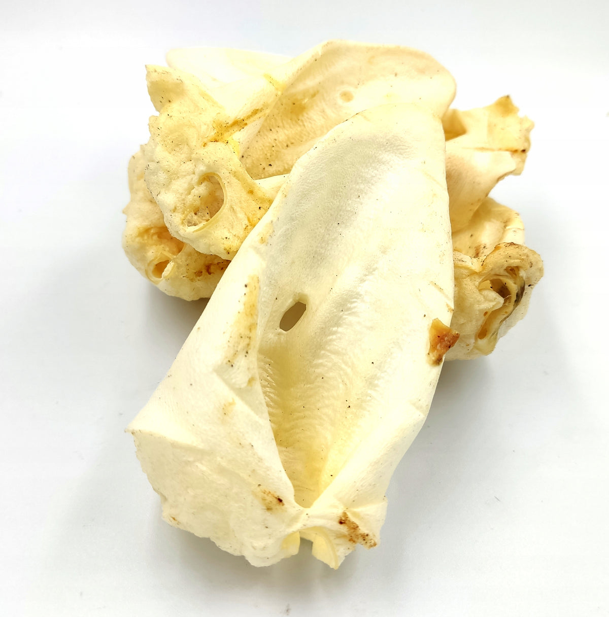 DOG TREAT NATURAL TEETHER BEEF EAR VEAL WHITE 1 PC Flavor beef