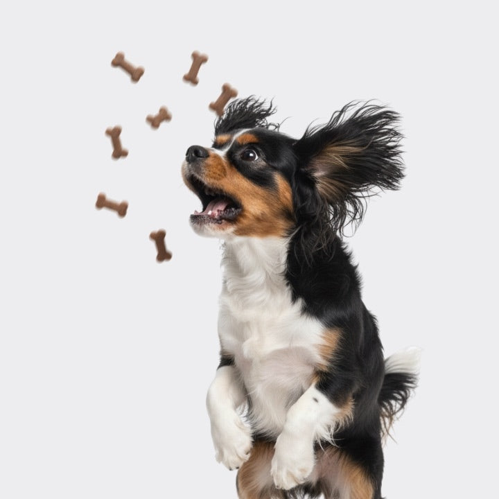 DOG TREATS SOFT CUBES WITH BEEF FLAVORS OPTIVITAL 90G Flavor beef