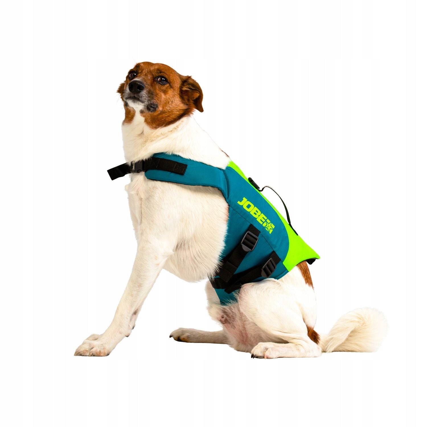 DOG VEST - JOBE PET VEST M Manufacturer code 240023001-M
