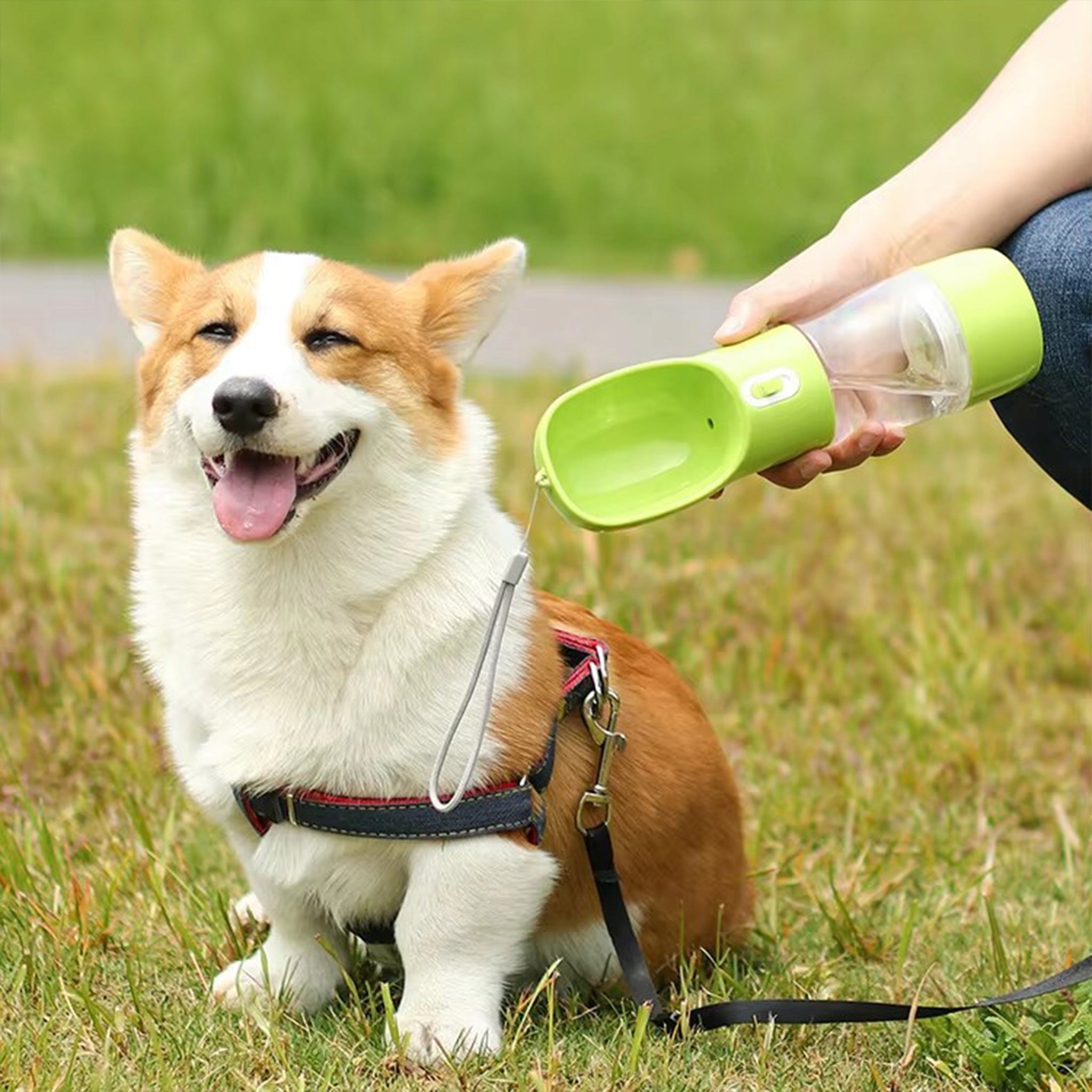DOG WATER BOTTLE TOURIST DRINKER WATER BOTTLE TRAVEL BOWL 550ml Brand no brand