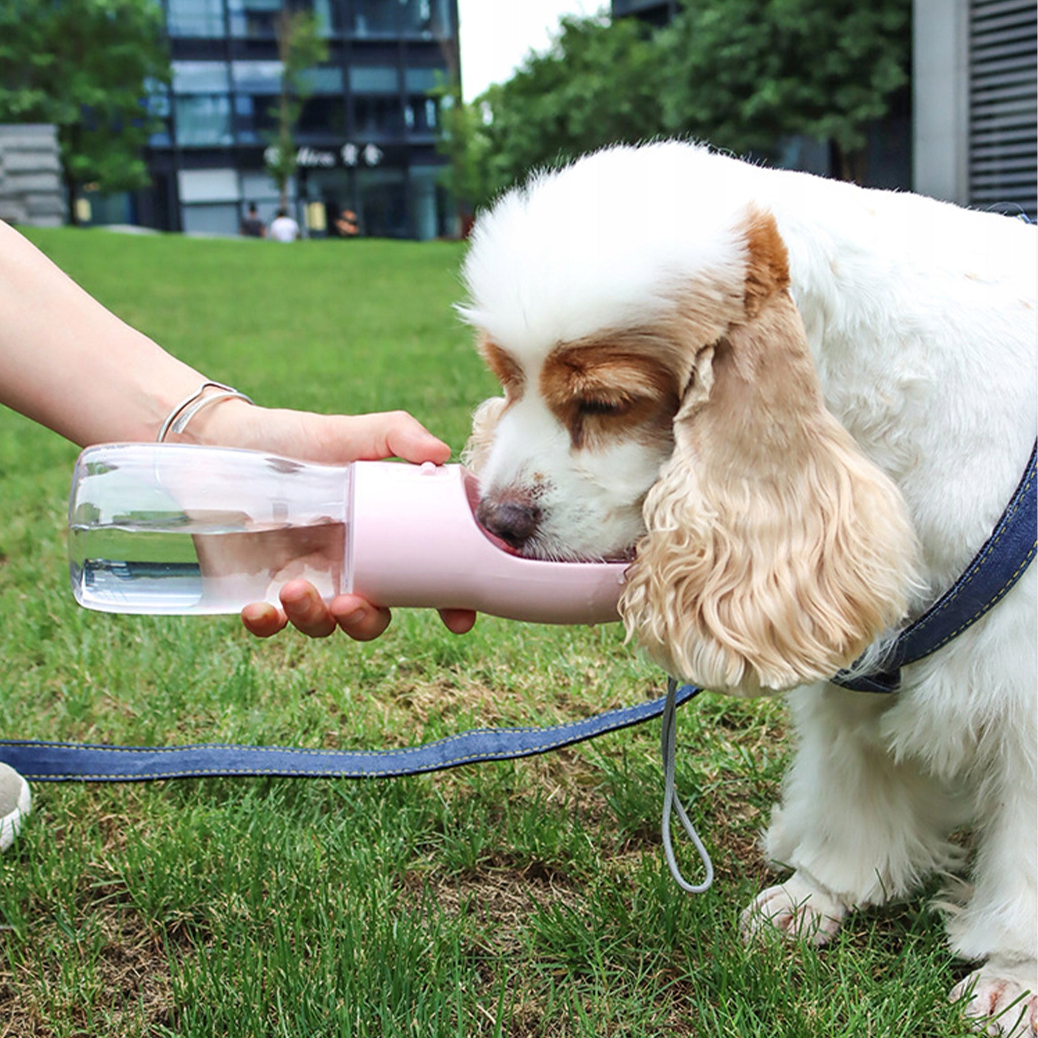 DOG WATER BOTTLE TOURIST DRINKER WATER BOTTLE TRAVEL BOWL 550ml ROSES Manufacturer code RÓŻOWA BUTELKA PODRÓŻNA DLA PSA HOMEY