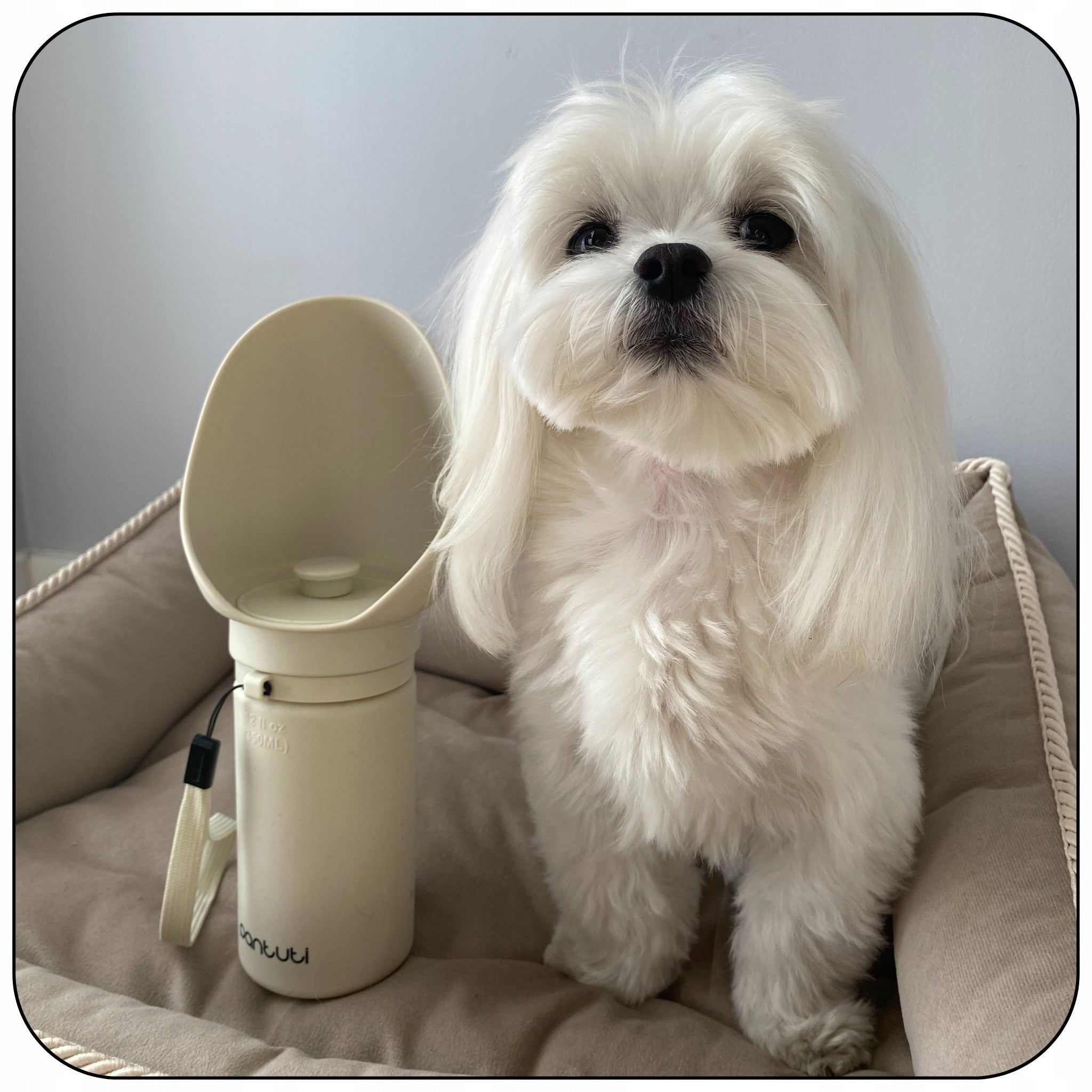 DOG WATER BOTTLE TOURIST DRINKER WATER BOTTLE TRAVEL BOWL 750ml MONTE Trade name butelka MONTE