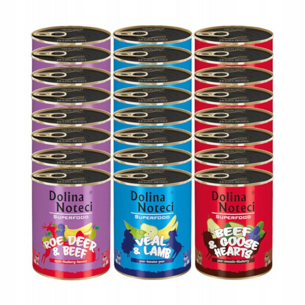 DOLINA NOTECI MIX OF SUPERFOOD FLAVORS 24x800g