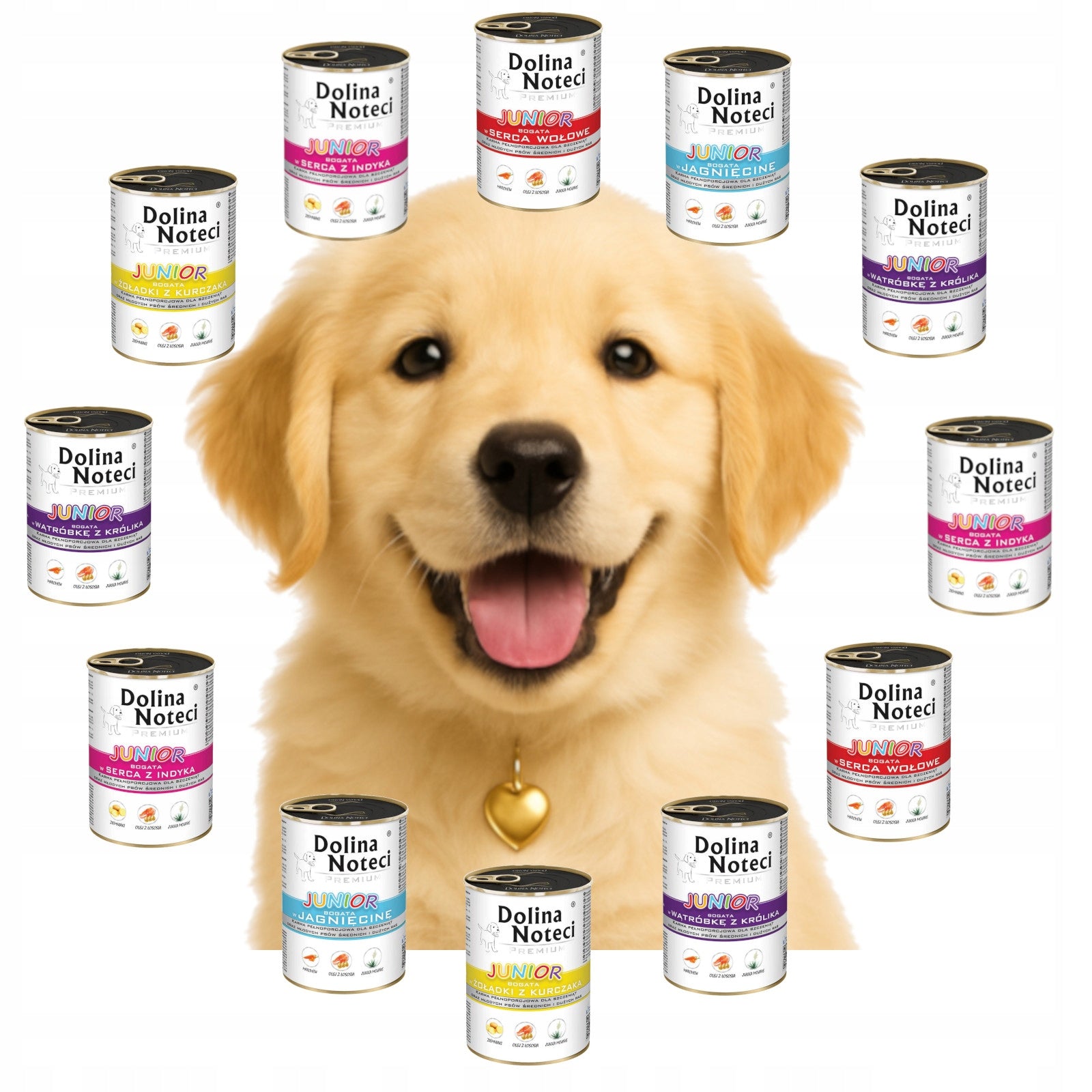 DOLINA NOTECI premium JUNIOR wet food for dogs MIX OF FLAVORS 24 x 400g Packaging status original