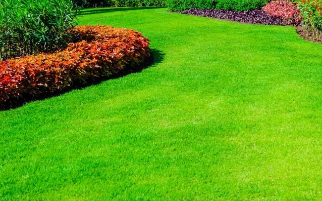 DOLOMAG G Magnesium Lime 25 kg | Soil Deacidification | Granulated Fertilizer | Packaging status original
