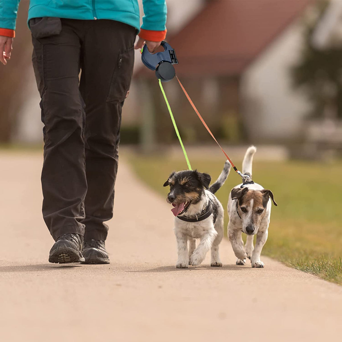 DOUBLE AUTOMATIC LEASH FOR TWO DOGS 3M WITH LED Brand Bedee