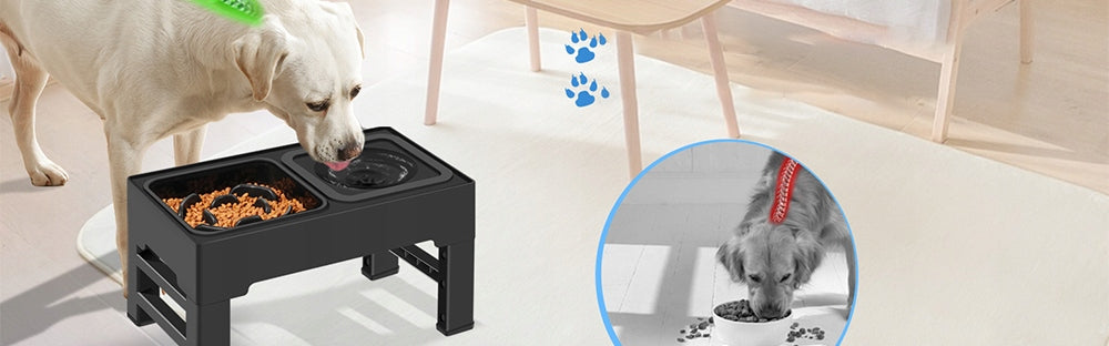 DOUBLE BOWL ON CAT DOG STAND WITH FOOD SLOWING BOWL Brand no brand