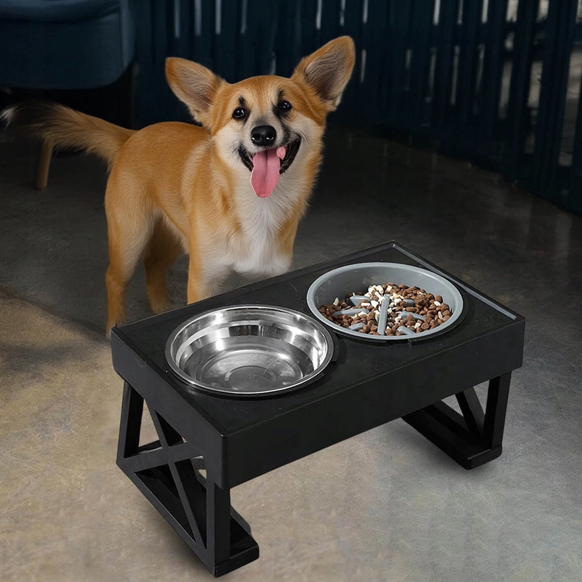 DOUBLE BOWL x2 FOR DOG ADJUSTABLE HEIGHT SLOW STAND Device type set of two bowls