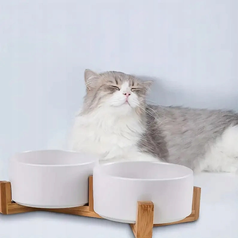 DOUBLE CERAMIC BOWL ON DOG STAND CAT BOWLS 2X400ml WHITE Color white