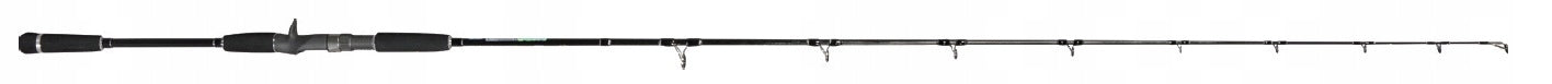 DRAGON X-Treme HD 80C 1,98m 25-80g