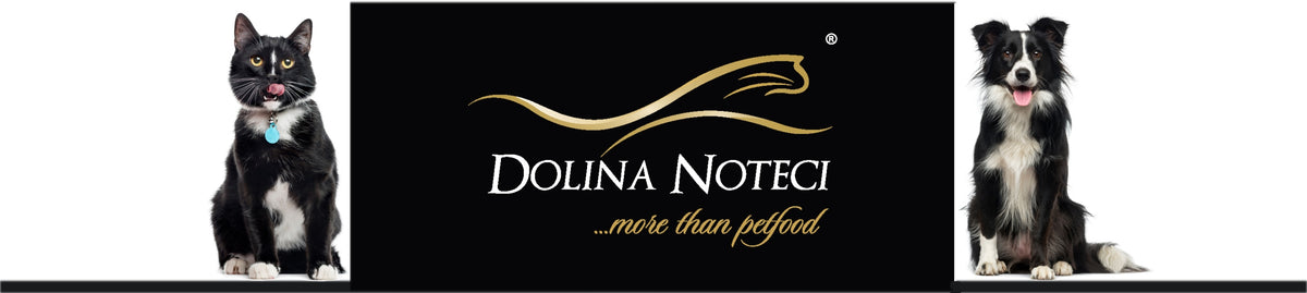 DRIED CAT FOOD DOLINA NOTECI SUPERFOOD STERILIZED FROM SALMON 1KG Packaging status original