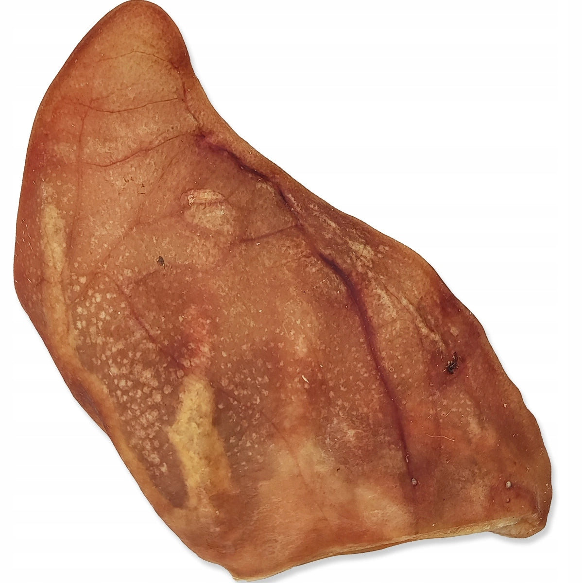 DRIED PORK EAR Teether TREAT for PUPPY DOG 15 cm 100% PORK Flavor pork