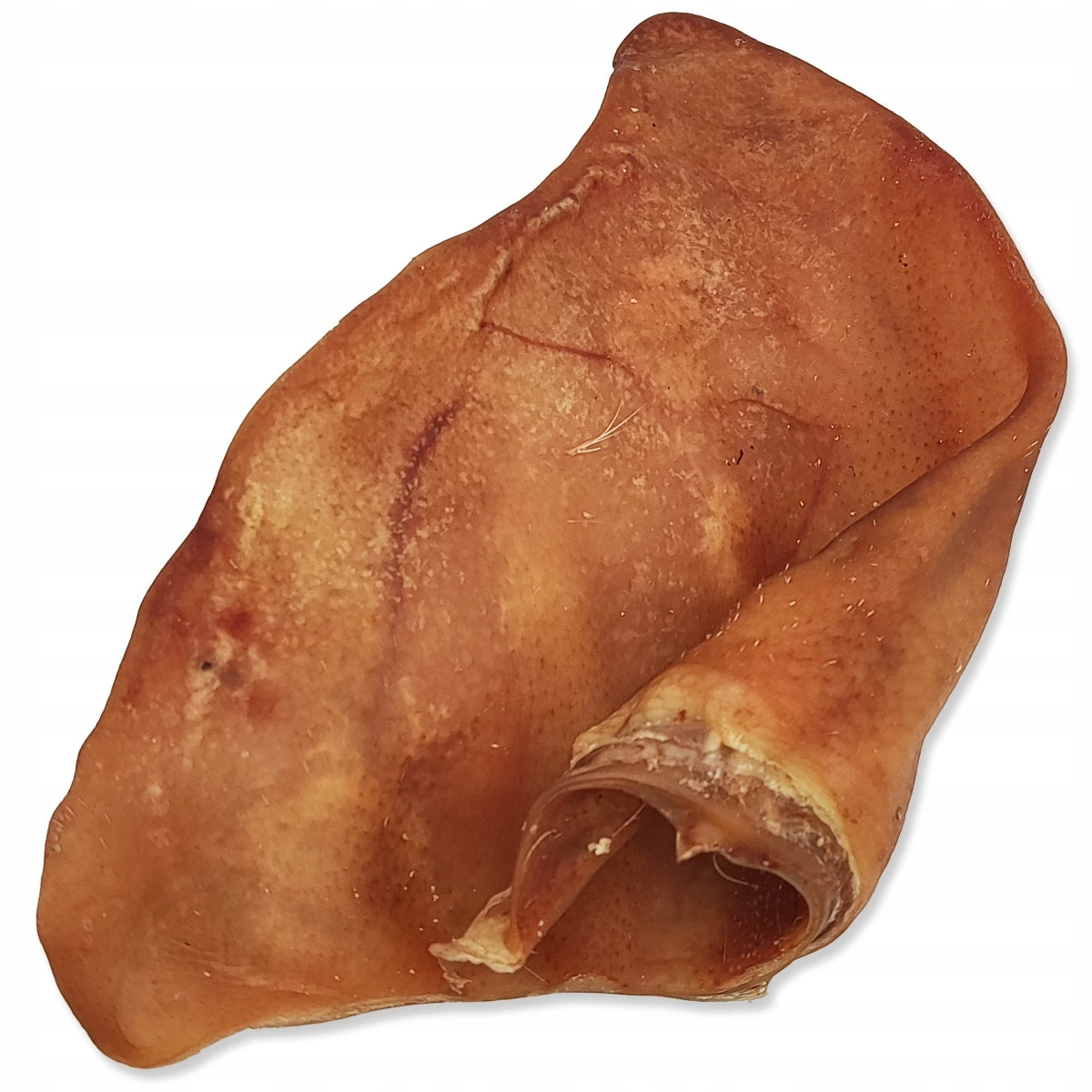 DRIED PORK EAR Teether TREAT for PUPPY DOG 15 cm 100% PORK Manufacturer code 5923