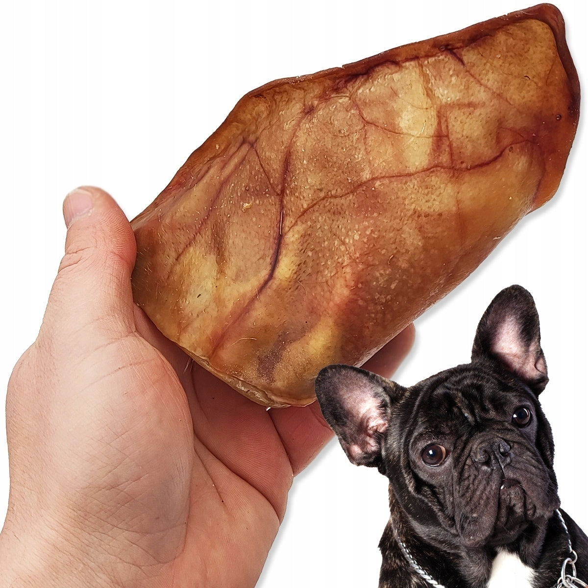 DRIED PORK EAR Teether TREAT for PUPPY DOG 15 cm 100% PORK