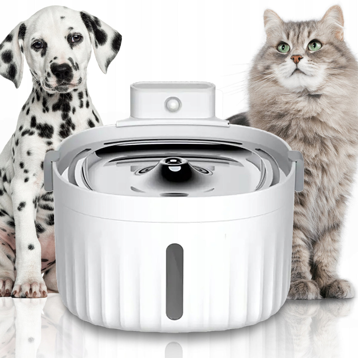 DRINKER WITH MOTION SENSOR for cat LED 2L WIRELESS Fountain