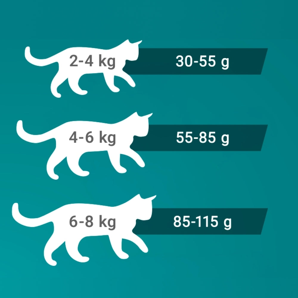 DRY CAT FOOD PURINA ONE HIGH PROTEIN - RICH IN CHICKEN, 900G Brand Purina