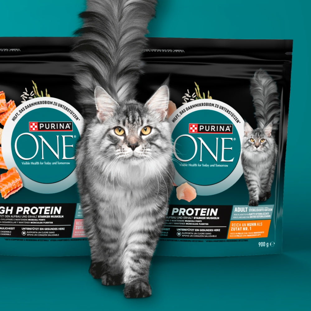 DRY CAT FOOD PURINA ONE HIGH PROTEIN - RICH IN CHICKEN, 900G Manufacturer code 8445292036320