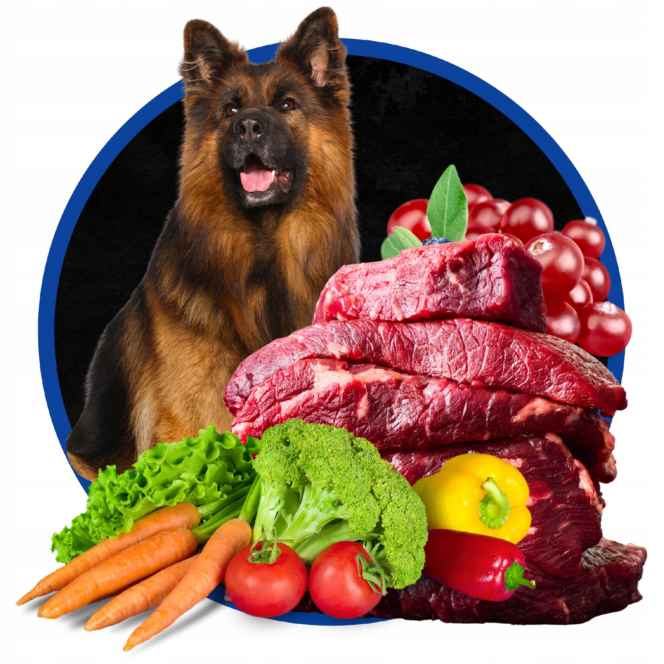DRY DOG FOOD DUCK WITH LAMB AND VEGETABLES LARGE ADULT BREEDS 20KG Brand Ciro
