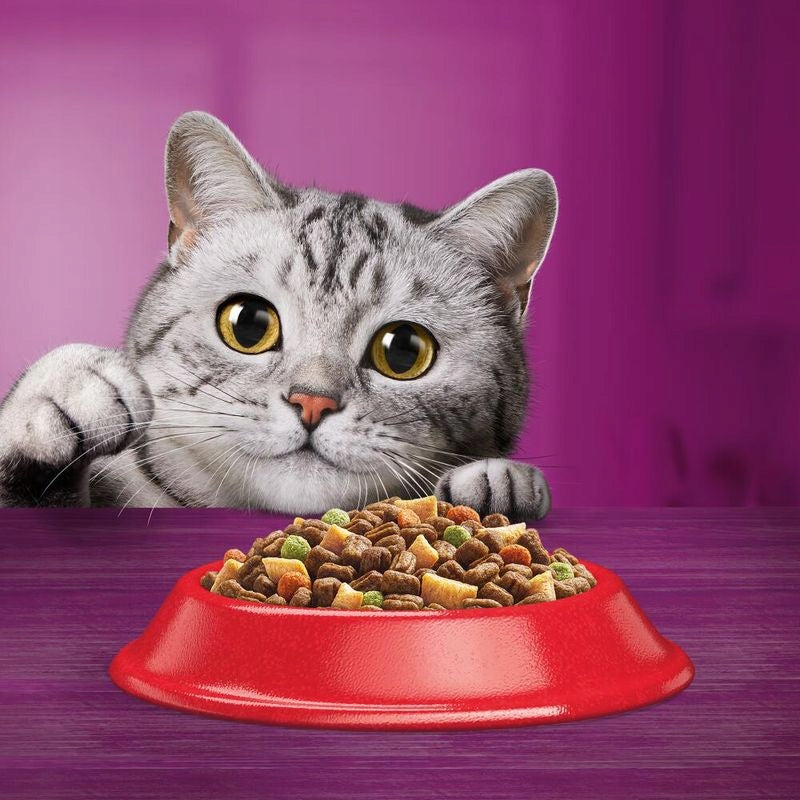 DRY FOOD Whiskas 1+ with beef 800 grams FOR ADULT CATS BOX Packaging status original