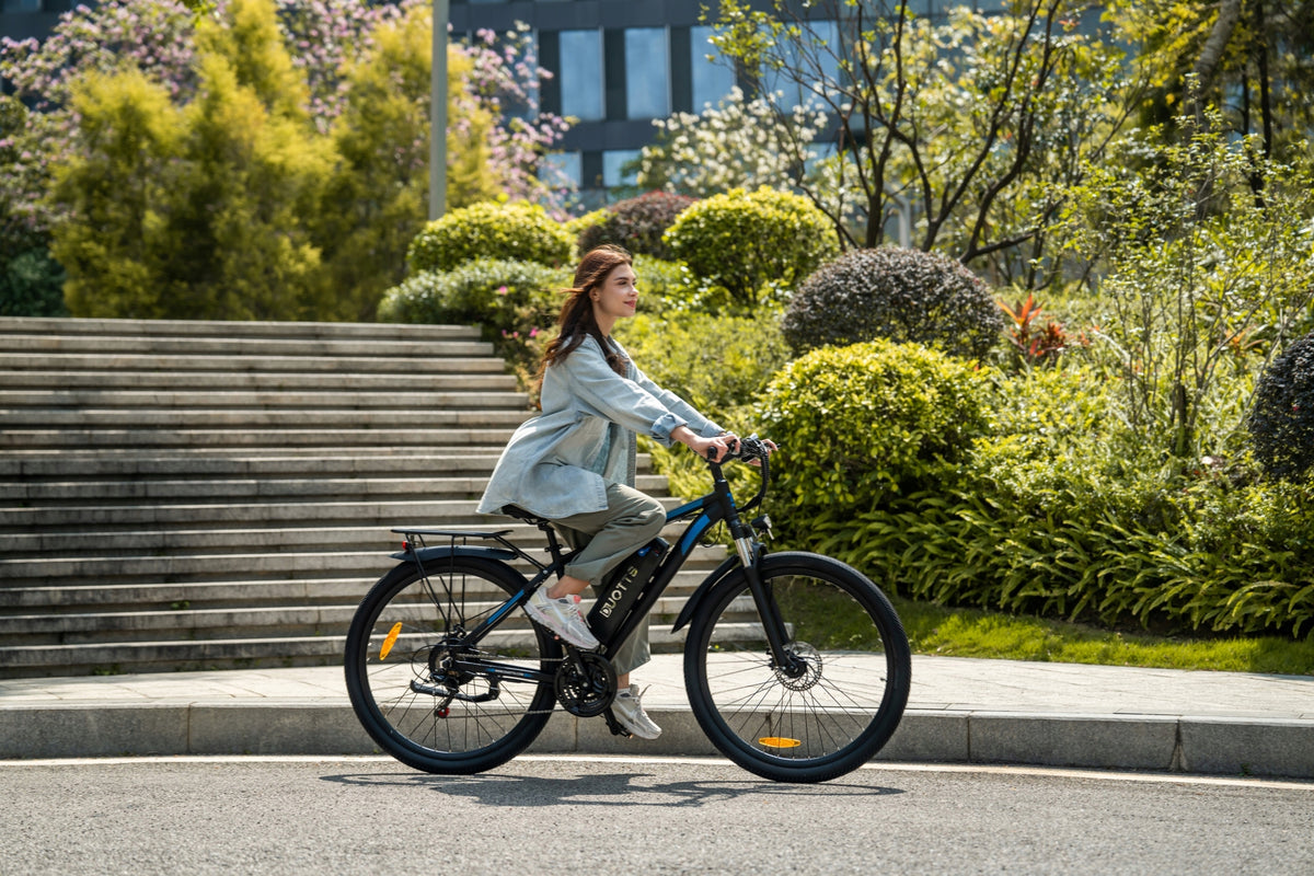DUOTTS C29-L Dual battery 55KM/H 29'' Shimano21-speed batteries With App Packaging status original