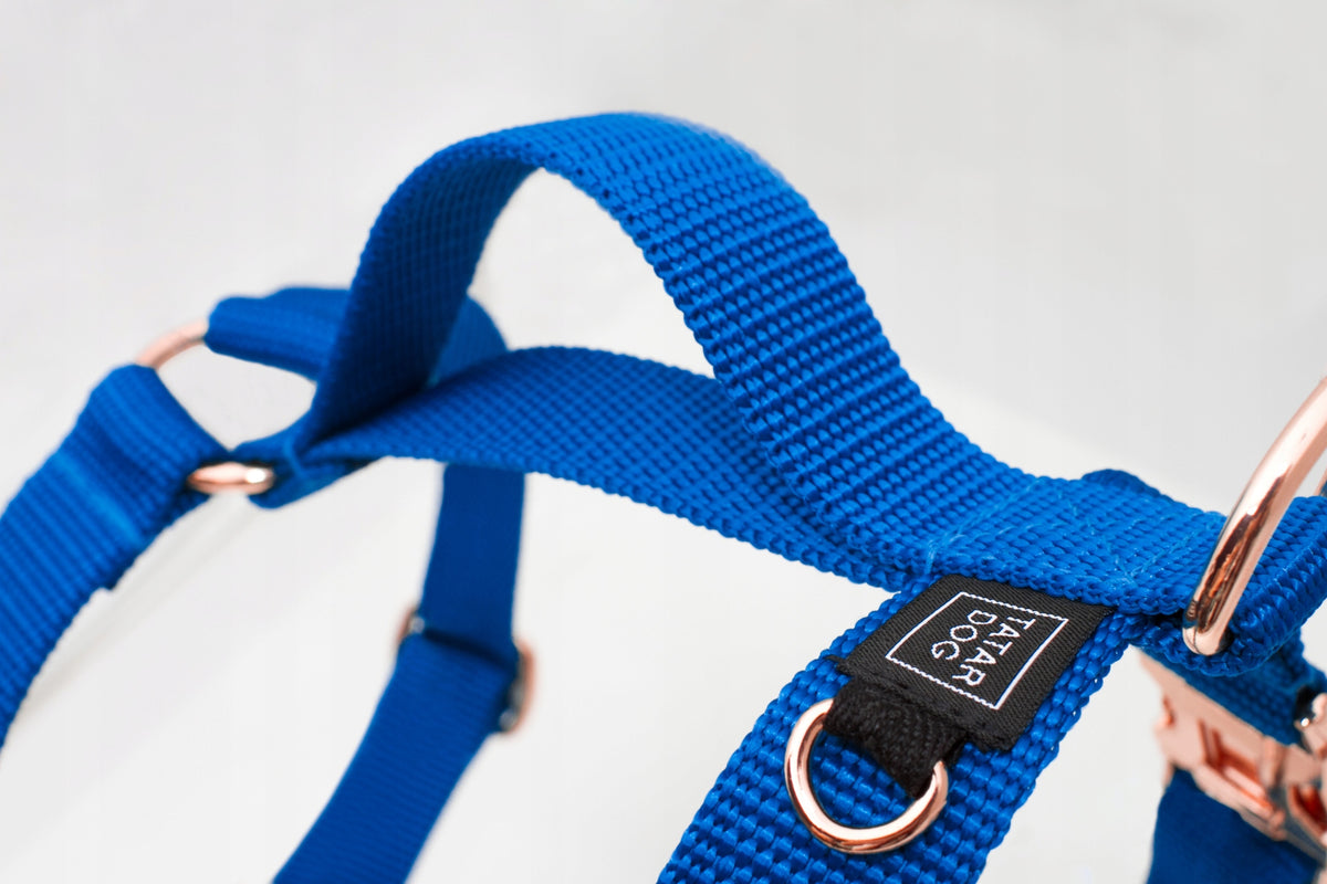 DURABLE dog HARNESS with handle BLUE L Brand Tatar Dog