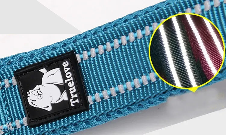 DURABLE strong dog leash BRONZE Truelove 200cm M Material fabric