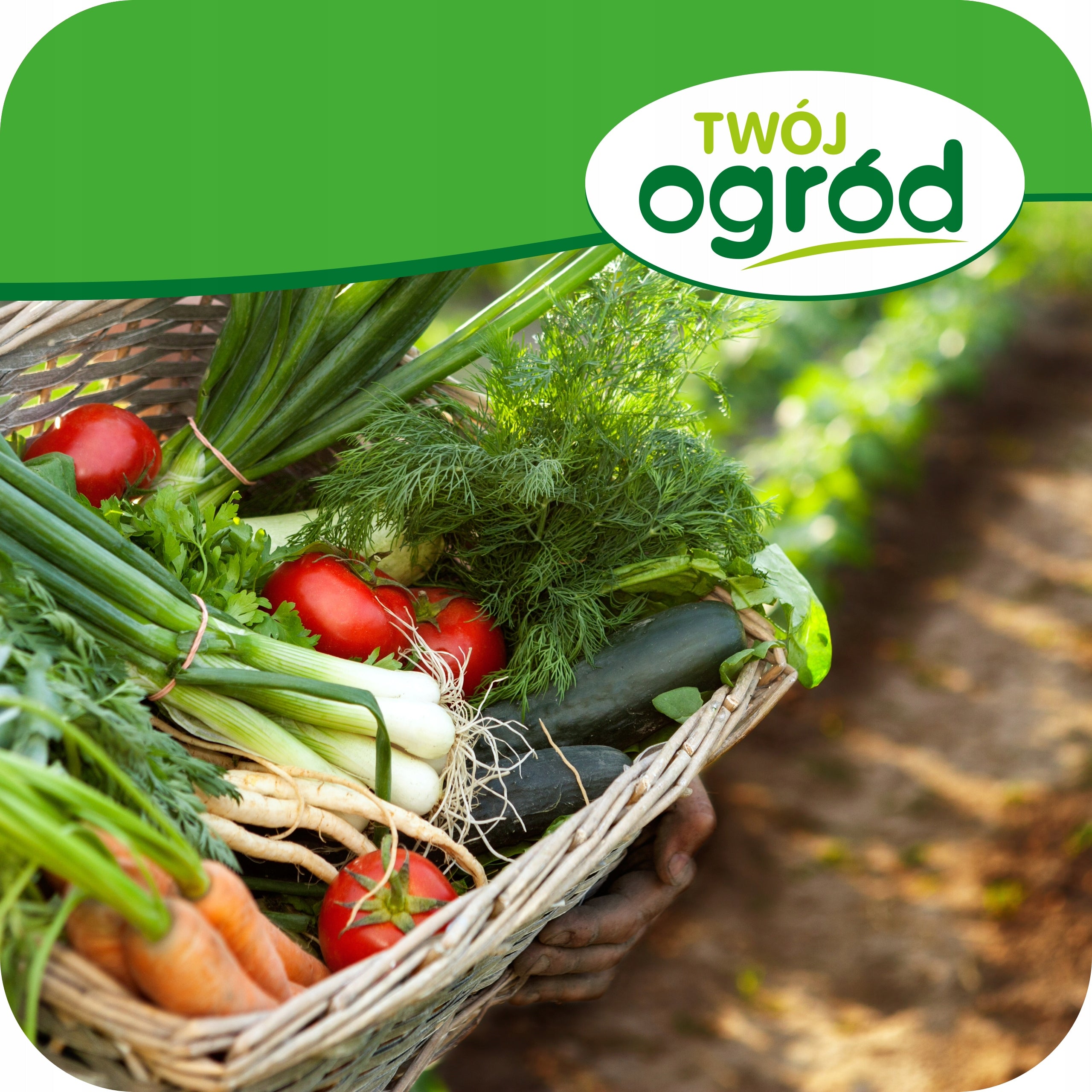 DUST MANURE NATURAL GRANULATED FERTILIZER FOR PLANTS for fruit vegetables 10L Manufacturer code ekologiczny nawóz obornik kurzy granulowany