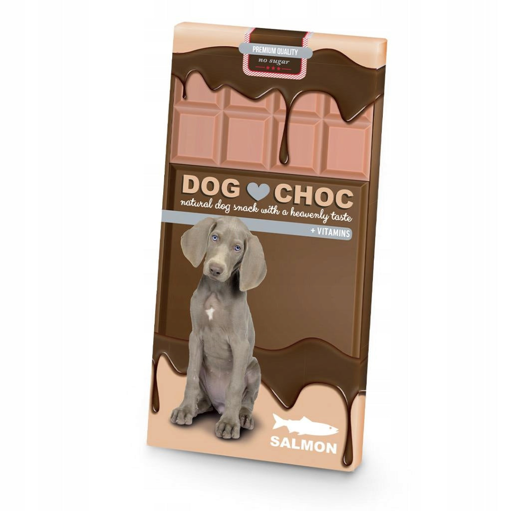 DUVO+ CHOCOLATE DOG CHOC SALMON 100g