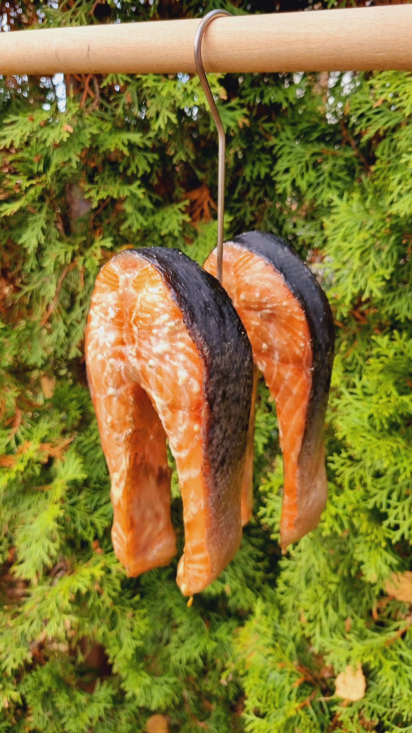 DZ-165 Hook for smoking fish bell salmon carp smoking manufacturer PL For For Smoking Fish