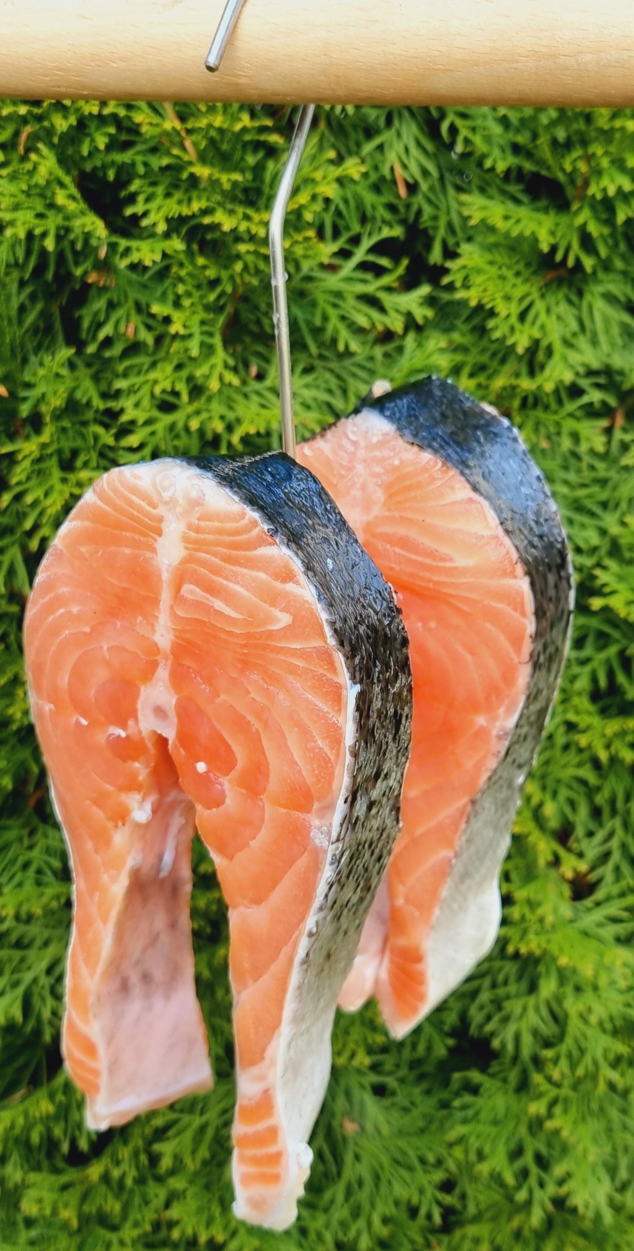 DZ-165 Hook for smoking fish bell salmon carp smoking manufacturer PL Kind double
