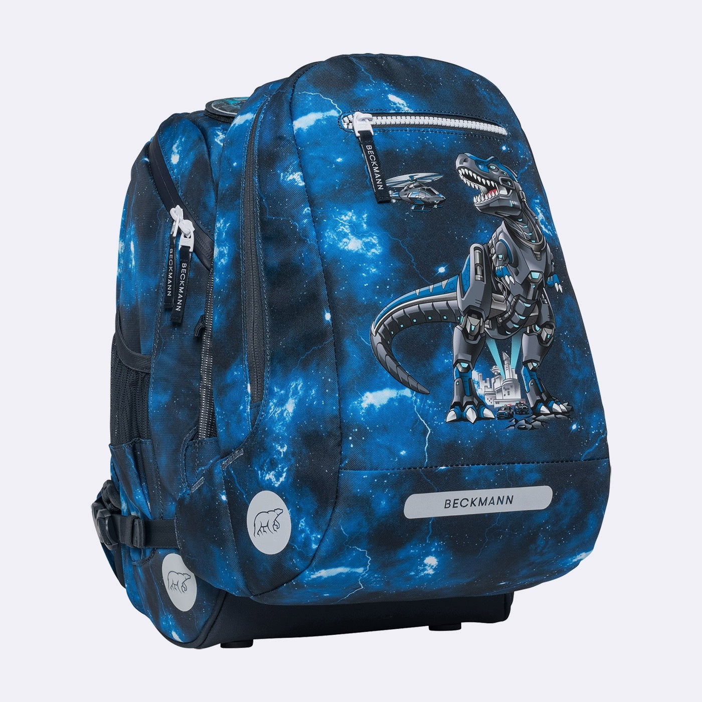 Daily backpack (training, trips, park), TECH REX Color multicolor